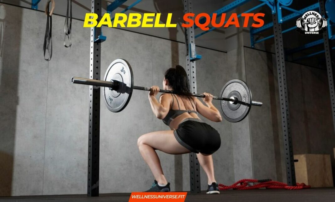 Barbell-Squats