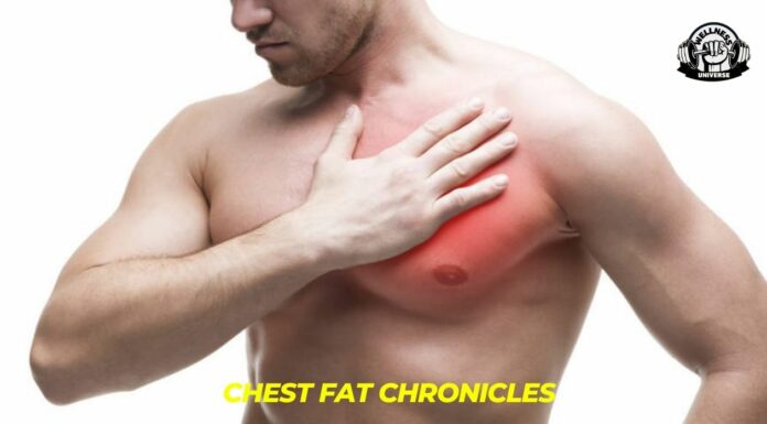 The Chest Fat Chronicles : The Blueprint Chest-Fat-Chronicles