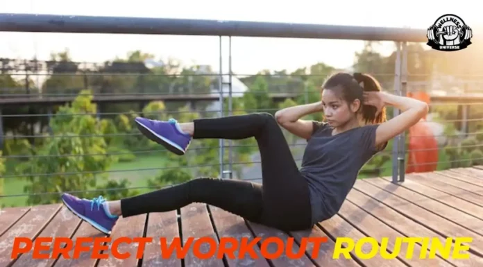 Design Your Destiny: Crafting the Perfect Workout Routine Workout-Routine