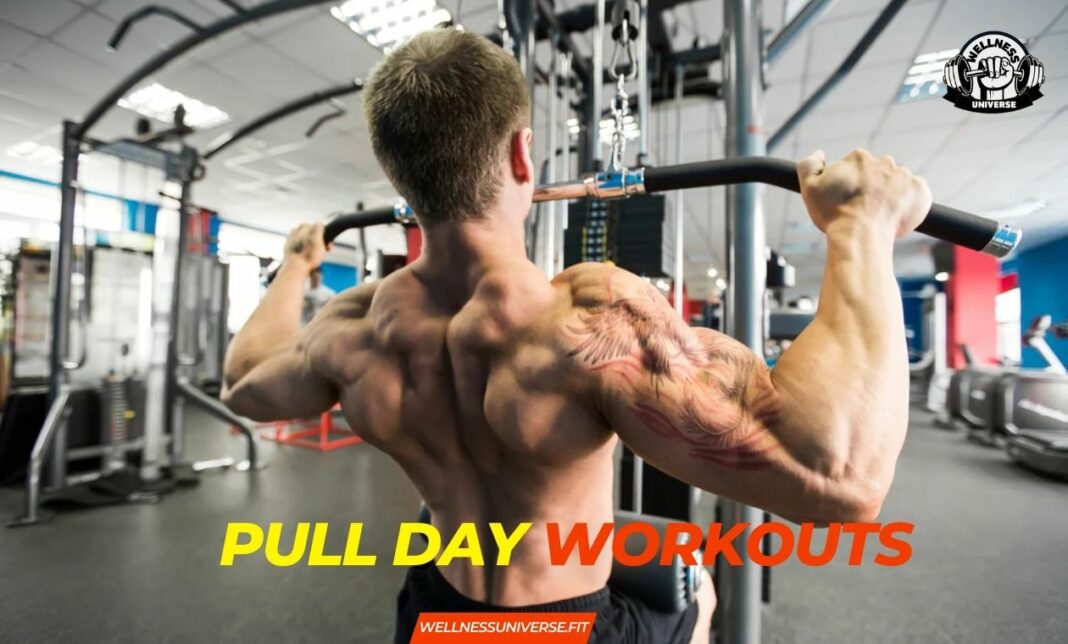 Pull-Day-Workouts