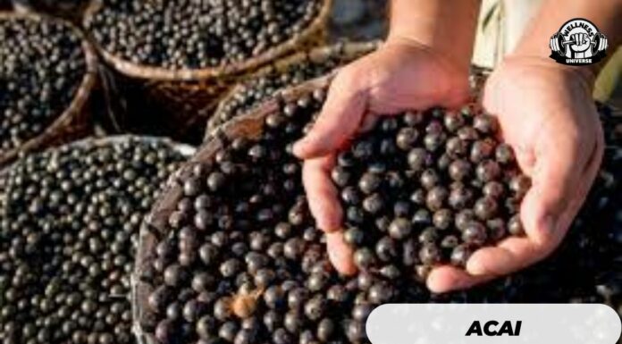 Acai: The Berry That Transforms Your Health Acai