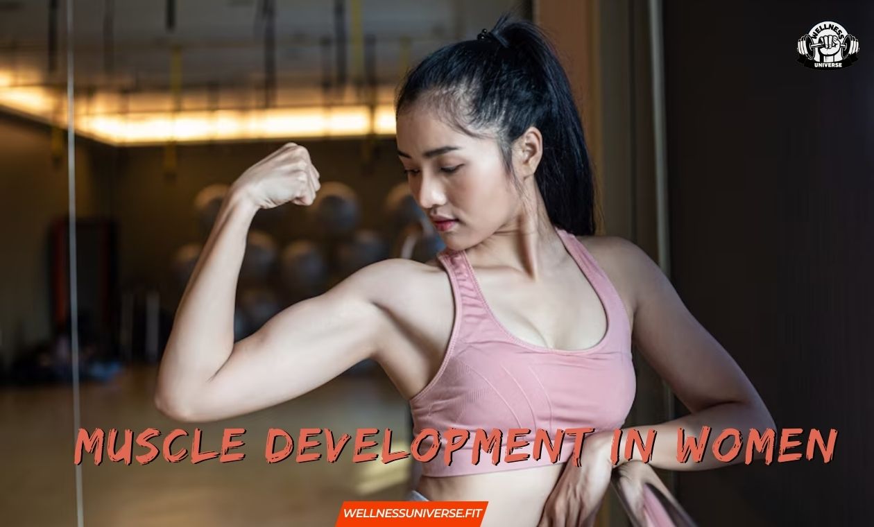 Muscle-Development-in-Women