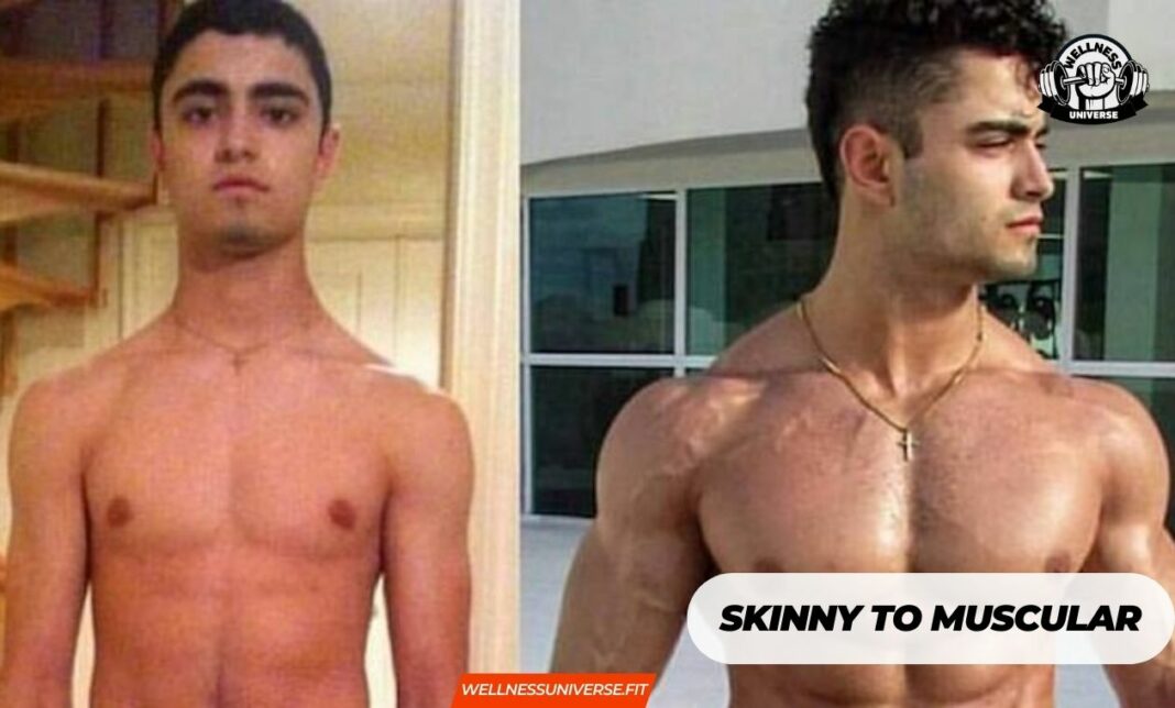 Skinny-to-Muscular