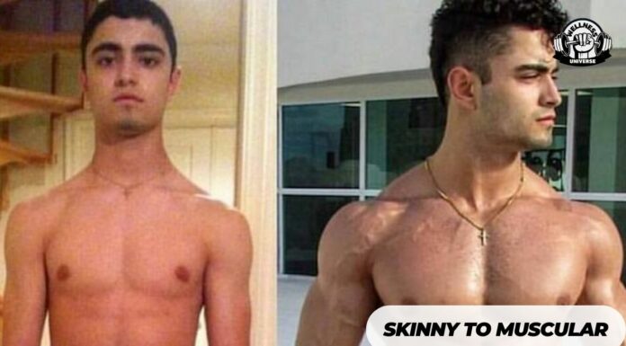 The Ultimate Guide to Going from Skinny to Muscular Skinny-to-Muscular