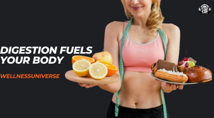 From Plate to Powerhouse: How Digestion Fuels Your Body