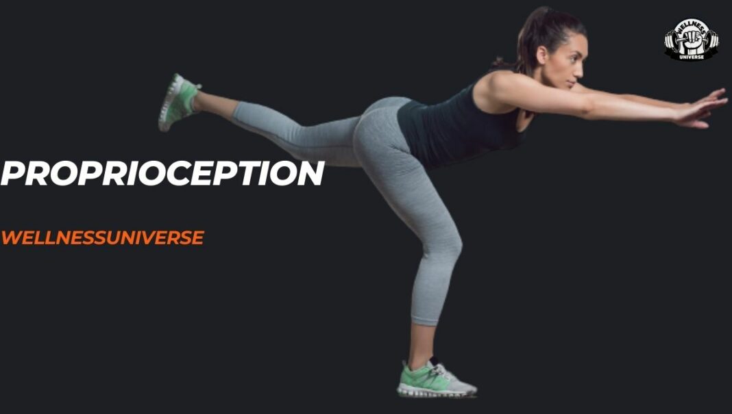 Proprioception