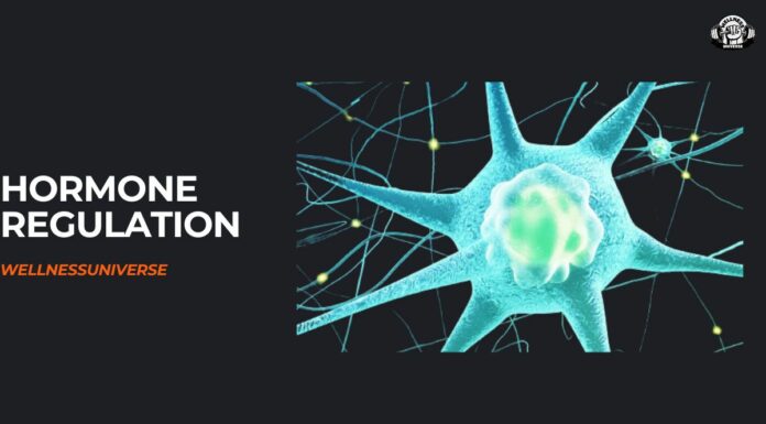 Mastering the Dance of Hormones: Your Guide to Regulation Hormone-Regulation