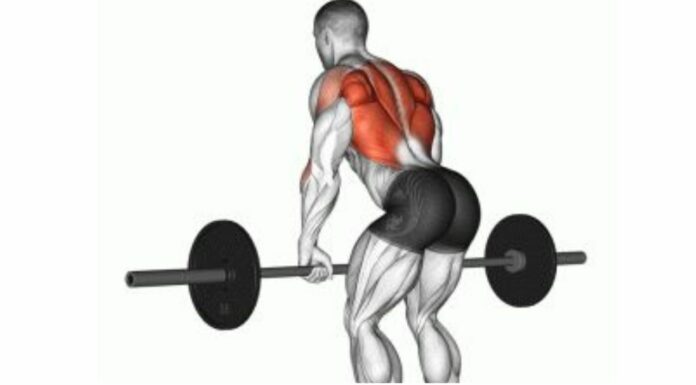 The Ultimate Guide to Rack Pull Exercises Rack-Pull-Exercises