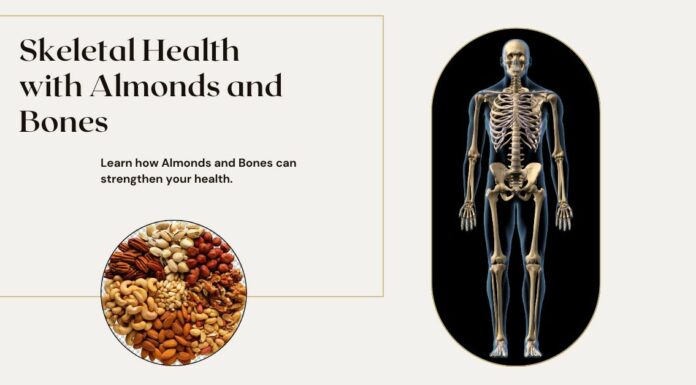 Skeletal Health with Almonds and Bones: A Comprehensive Guide Almonds-bone-health-benifits