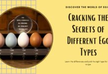 Cracking the Secrets of Different Egg Types Different-Egg-Types