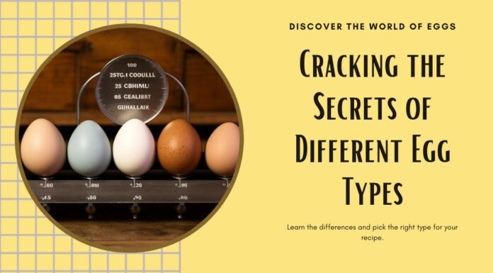 Cracking the Secrets of Different Egg Types Different-Egg-Types