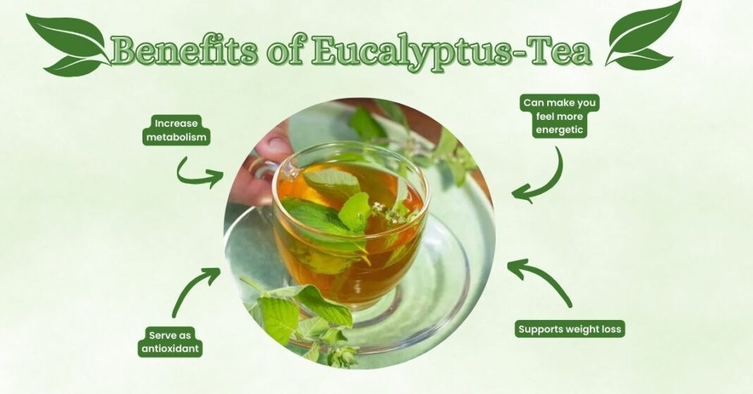 Eucalyptus-Tea