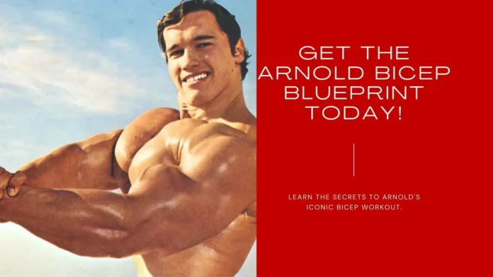 arnold-bicep-workout-routine