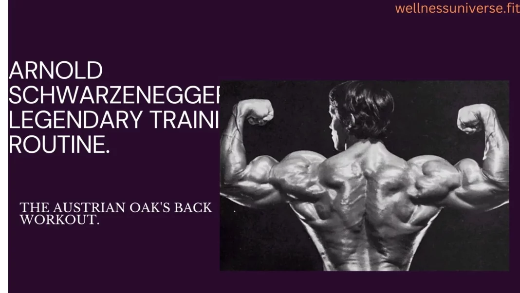 Arnold-Schwarzenegger-Back-Workout