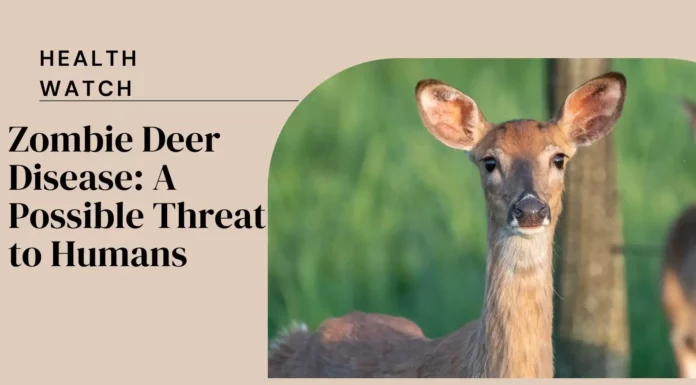 What is Zombie Deer Disease: A Potential Threat to Humans? Exploring the Risks Zombie-Deer-Disease