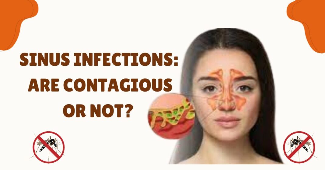 are-sinus-infections-contagious