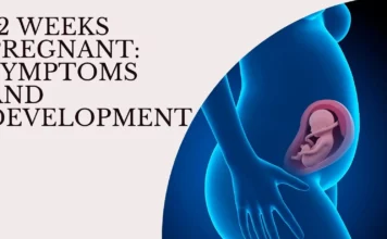 12 Weeks Pregnant: Symptoms and Baby Development Guide 12-weeks-pregnant