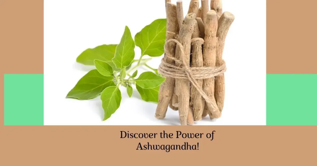 Ashwagandha-health-benefits 