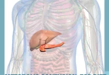 The Pros and Cons of Metabolic Confusion: Fad Diet or Fat-Burning Genius? metabolic-confusion